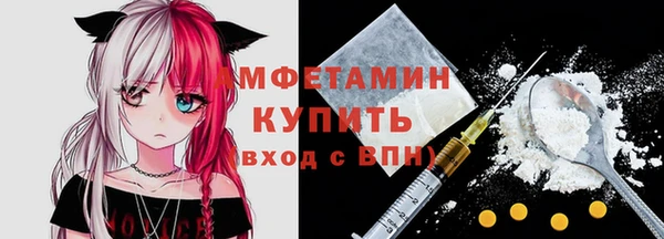 индика Вязники